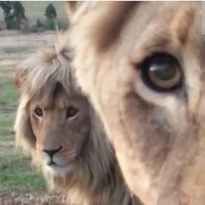 Meet your Posher, Ana